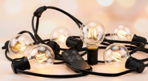 Outdoor String Lights with Remote for Home and Garden