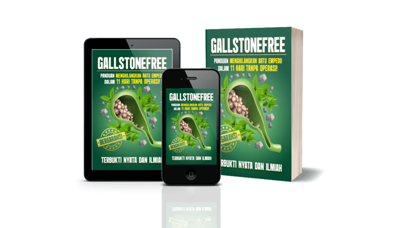 Ebook dan video panduan GallstoneFree